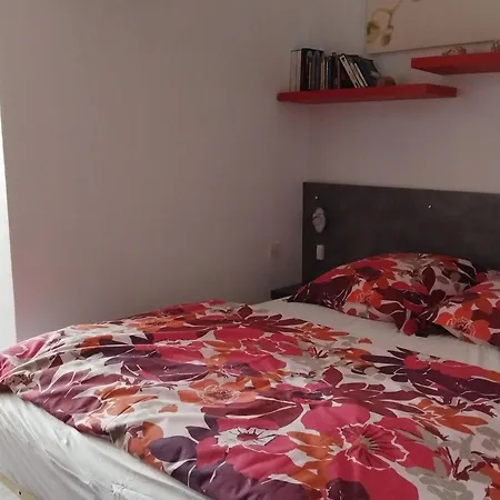 Apartment Cosy A 5 Min Des Thermes, 2 Etoiles, Animaux Acceptes, Proche Commerces Et Etang De Thau - Fr-1-503-88 *