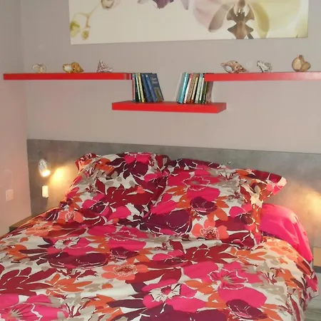 Apartament Confortable 2 Etoiles Proche Thermes, Animaux Admis - Fr-1-503-88 Balaruc-les-Bains