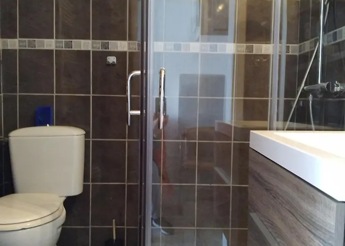 Apartmán Confortable 2 Etoiles Proche Thermes, Animaux Admis - Fr-1-503-88