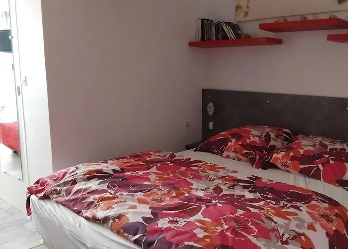 Apartmán Confortable 2 Etoiles Proche Thermes, Animaux Admis - Fr-1-503-88 *